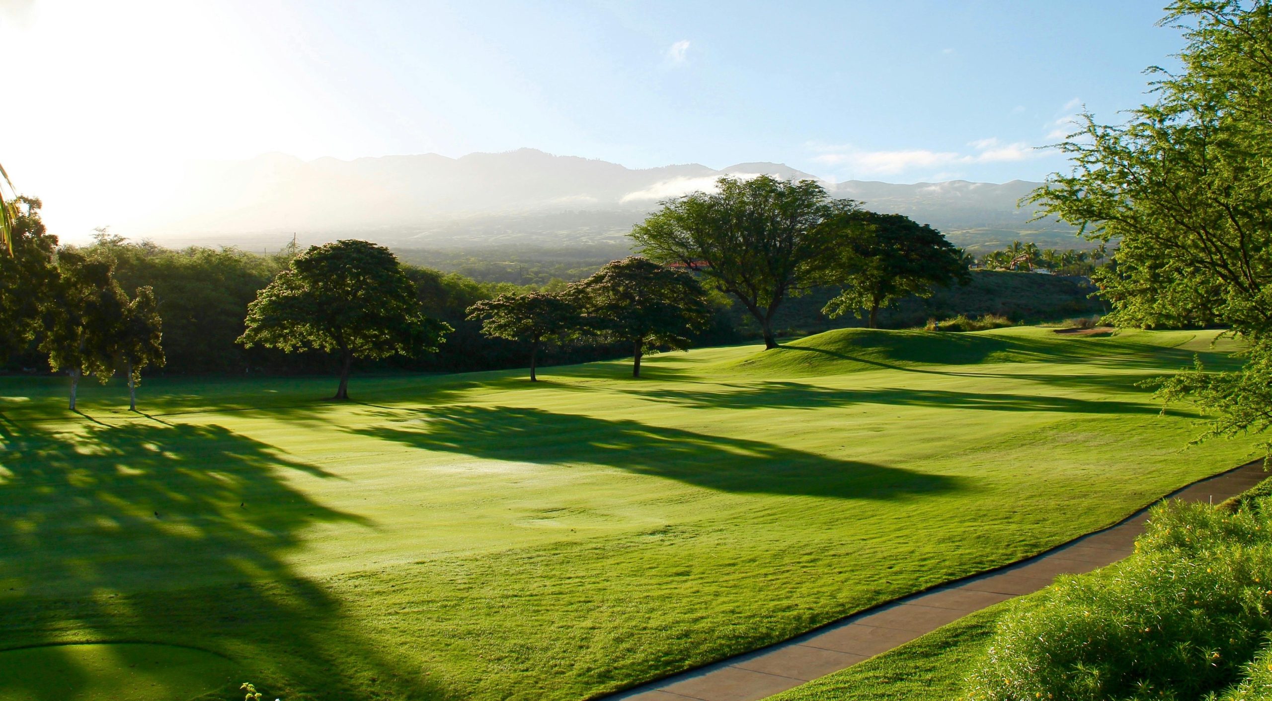 Paysage de golf verdoyant avec arbres et montagnes en arrière-plan.