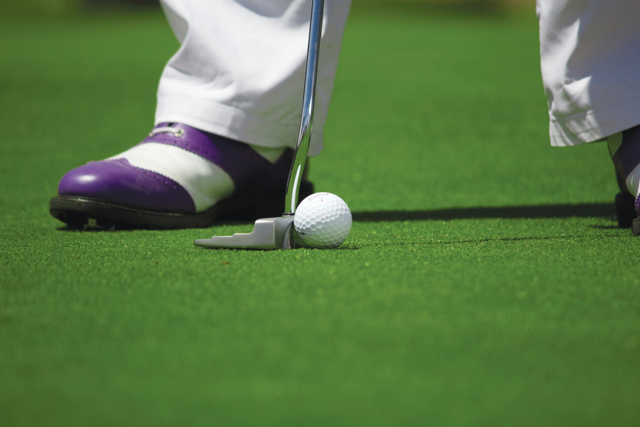 Golfeur prêt à putter sur le green avec chaussures violettes.